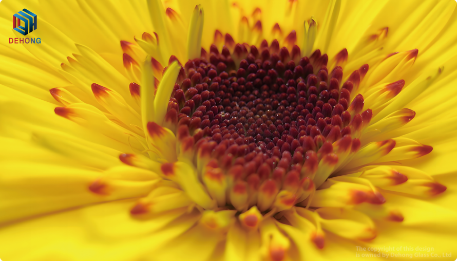 OEM ODM Glass Panel for Refrigerator by UV Print