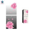 Screen Printed And Mirror Coated Refrigerator Tempered Glass Door Plate 
