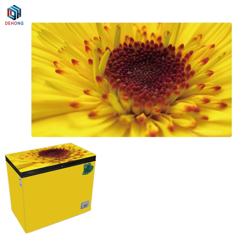 OEM ODM Glass Panel for Refrigerator by UV Print