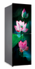 Shiney Colored UV Printing Refrigerator Tempered Glass for Home Appliances